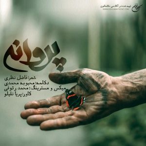 دکلمه محبوبه محمدی – پروانه