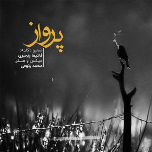 دکلمه فاتیما رنجبری – پرواز