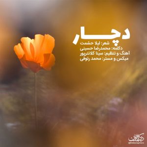 دکلمه محمدرضا حسینی – دچار