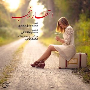 دکلمه محمدرضا کاکائی – انتظار نجیب